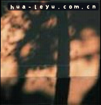 刘洋